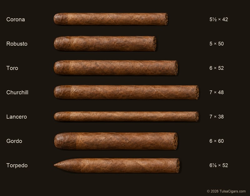 Seven cigars drawn to one scale: corona 5½ × 42, robusto 5 × 50, toro 6 × 52, churchill 7 × 48, lancero 7 × 38, gordo 6 × 60, and torpedo 6⅛ × 52.